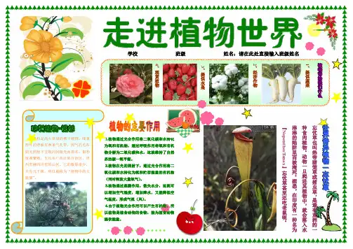 走进植物世界A4电子小报成品模板科学在我身边手抄报生活中的科普自然模板动植物知识板报小学生板报手抄报