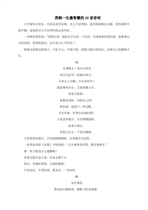 苏轼一生最智慧的20首诗词