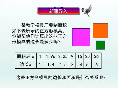 人教课标版初中八年级数学课精品PPT教学课件-平方根