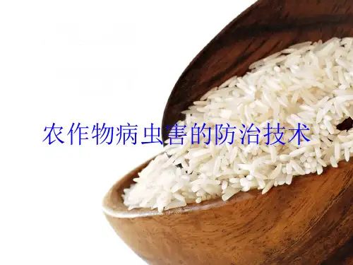 农作物病虫害的防治技术培训课件