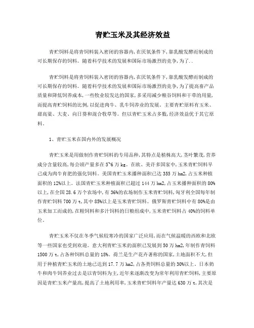 青贮玉米及其经济效益