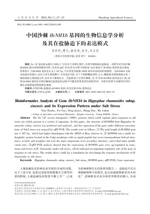 中国沙棘HrNHX6基因的生物信息学分析及其在盐胁迫下的表达模式