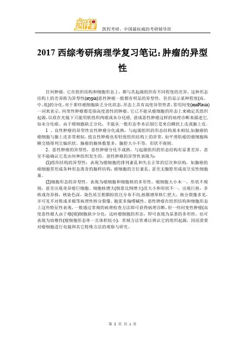 2017西综考研病理学复习笔记：肿瘤的异型性