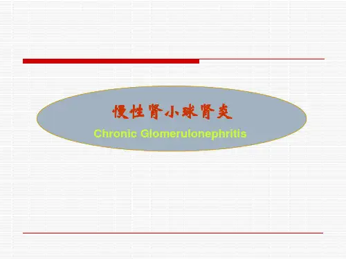 慢性肾小球肾炎 ppt课件