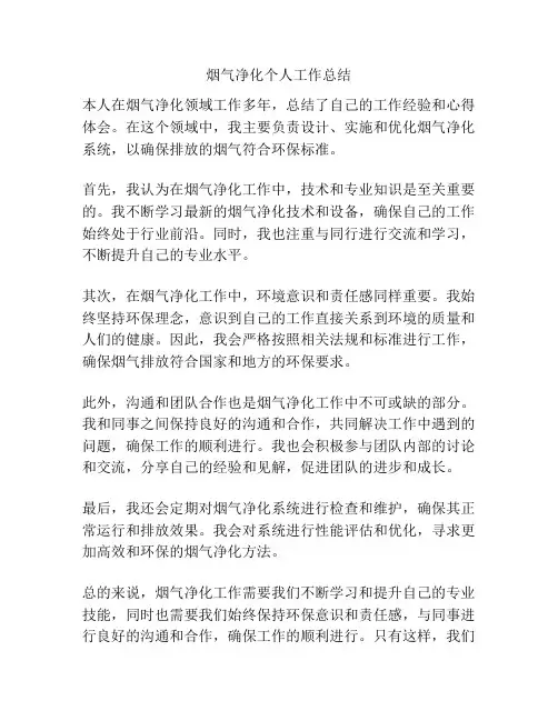 烟气净化个人工作总结