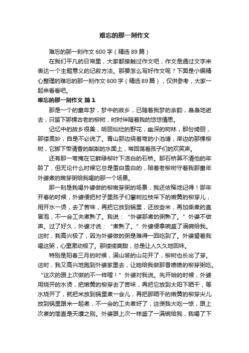 难忘的那一刻作文