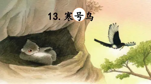 统编版二年级语文上册13 寒号鸟(课件)(共18张PPT)