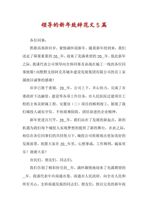 领导的新年致辞范文5篇