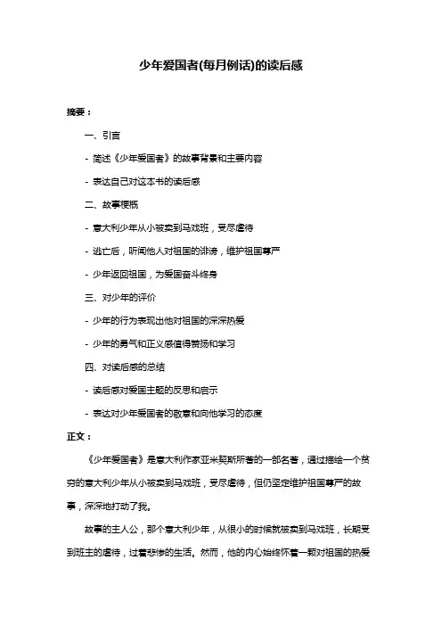 少年爱国者(每月例话)的读后感