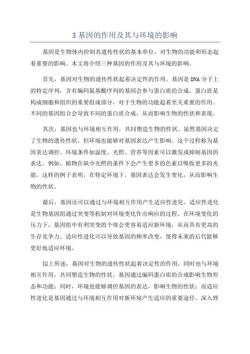 3基因的作用及其与环境的影响