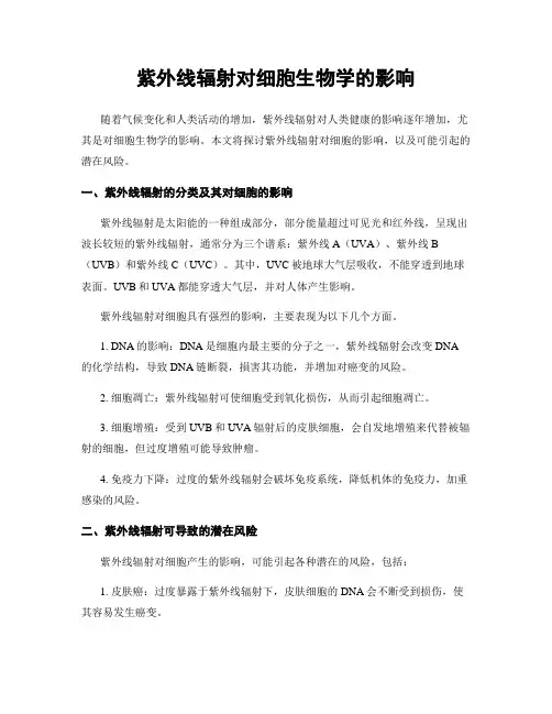 紫外线辐射对细胞生物学的影响
