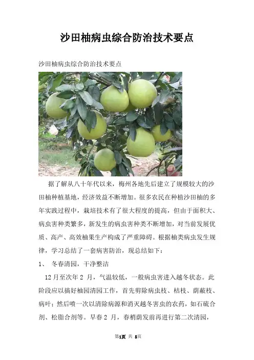沙田柚病虫综合防治技术要点