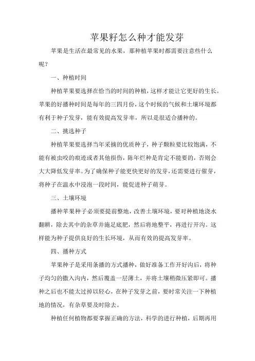 苹果籽怎么种才能发芽