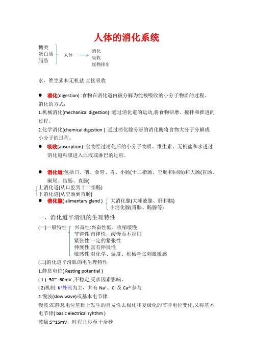 消化系统笔记