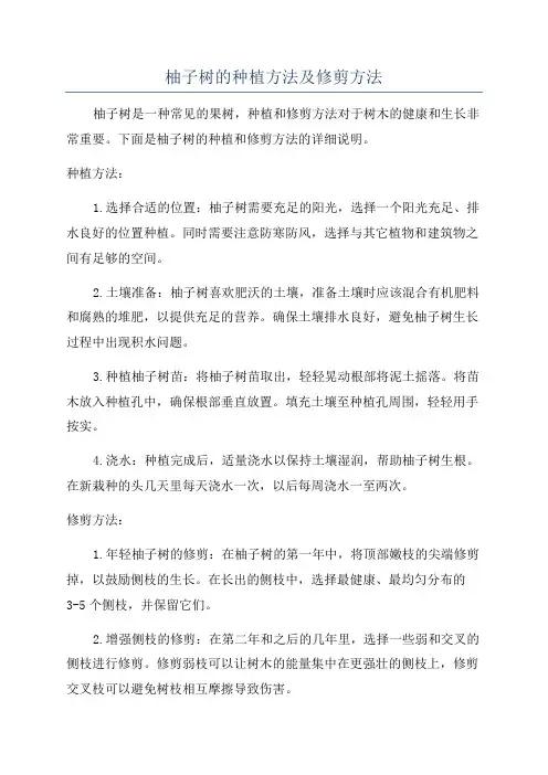 柚子树的种植方法及修剪方法