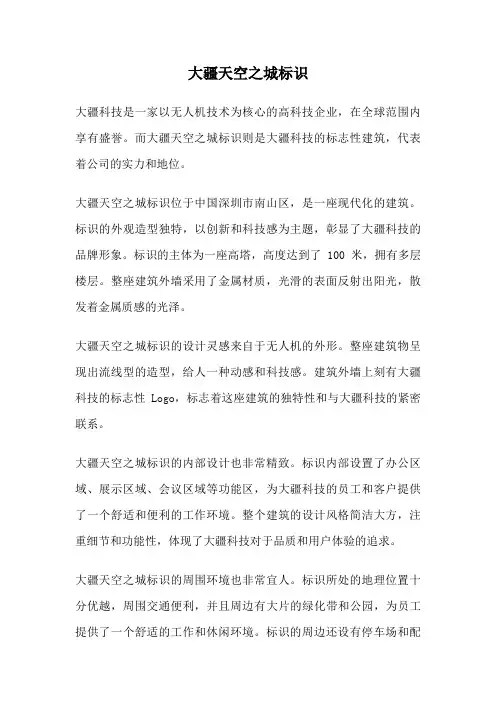 大疆天空之城标识