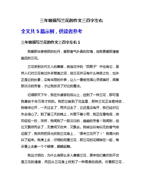 三年级描写兰花的作文三百字左右