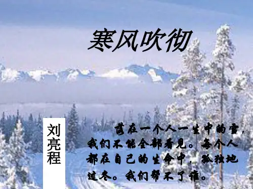 《寒风吹彻》教学课件 --高中语文