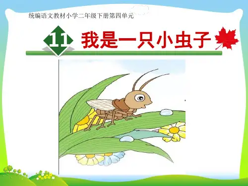 2021年人教部编版二年级下册语文课件 - 我是一只小虫子 (共19张PPT).ppt
