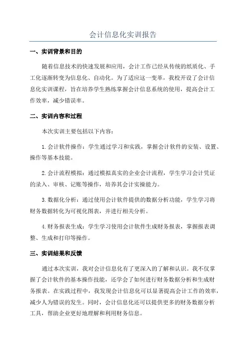会计信息化实训报告