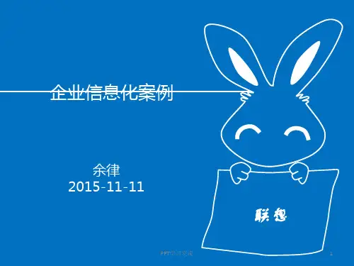 企业信息化案例(信息经济学)课件