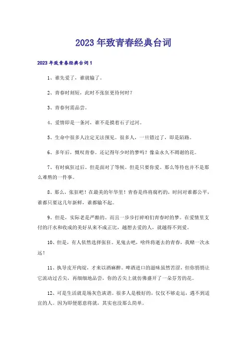 2023年致青春经典台词_2