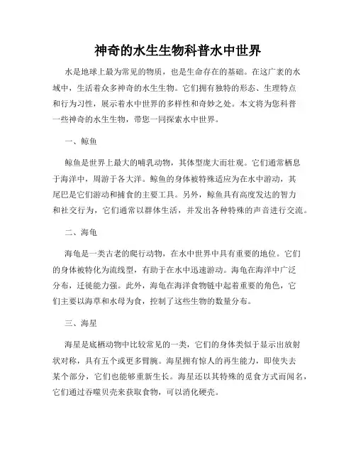 神奇的水生生物科普水中世界