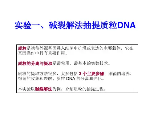 实验二 碱裂解法抽提质粒DNA-2