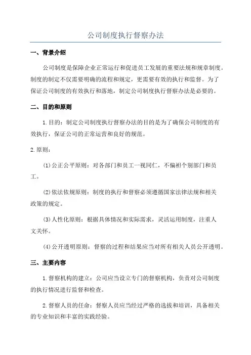 公司制度执行督察办法