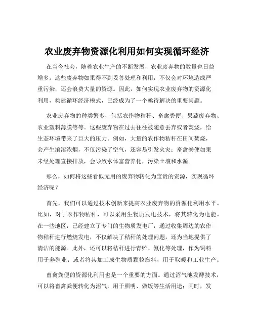 农业废弃物资源化利用如何实现循环经济