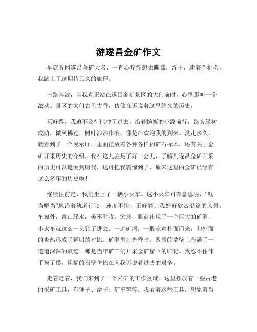 游遂昌金矿作文