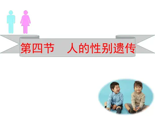人教版八年级下册生物第七单元第二章第四节人的性别遗传优质课  说课课件