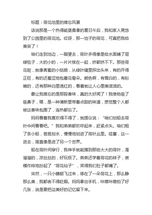 让我难忘的风景荷花作文