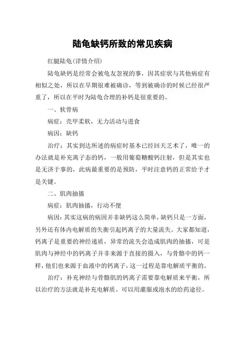 陆龟缺钙所致的常见疾病