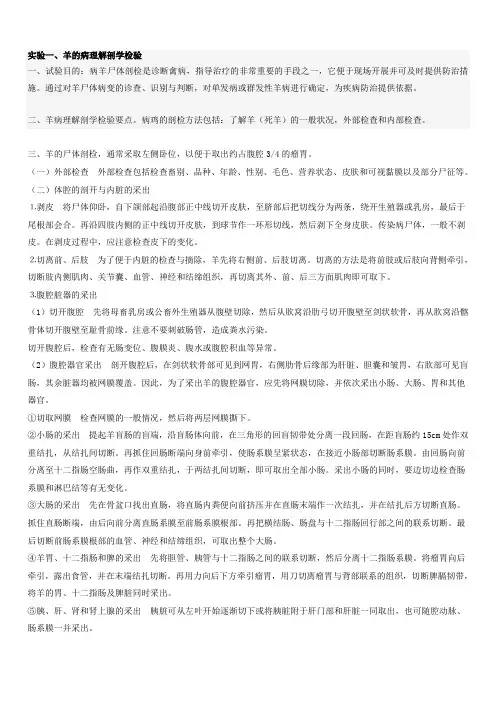 羊的尸体剖检