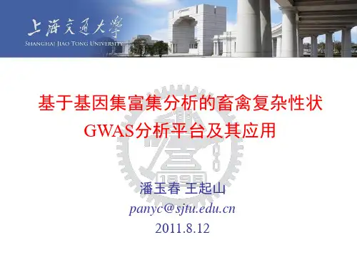 基于基因集富集分析的畜禽复杂性状GWAS分析平台及其应用