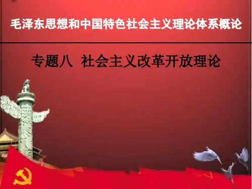 专题七  社会主义改革开放理论