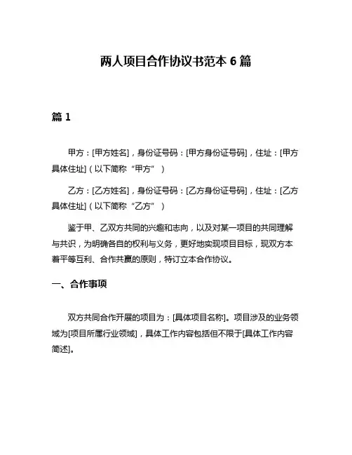 两人项目合作协议书范本6篇