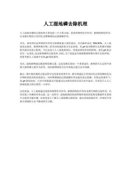 人工湿地磷去除机理