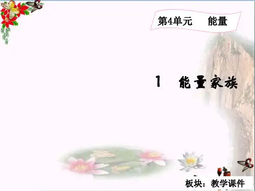 (精选)六年级科学上册4.1能量家族课件2湘教版