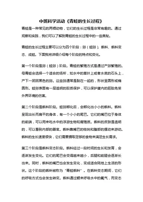 中班科学活动《青蛙的生长过程》