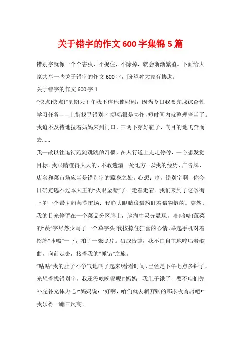 关于错字的作文600字集锦5篇