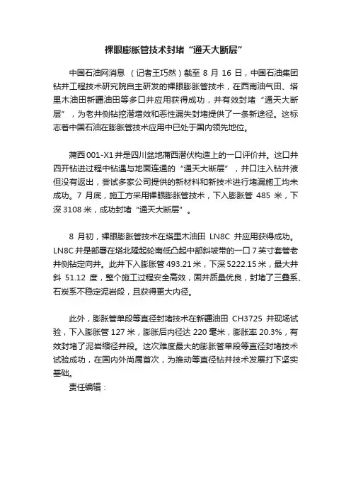 裸眼膨胀管技术封堵“通天大断层”