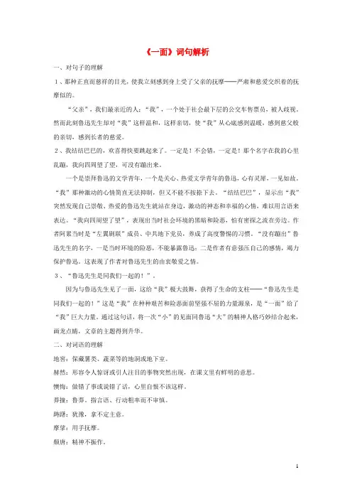 六年级语文上册第五组19一面词句解析素材新人教版