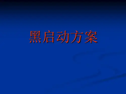 黑启动方案