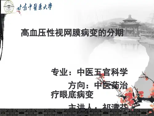 高血压眼底病变ppt