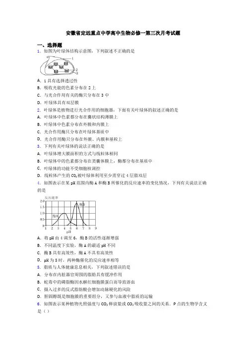 安徽省定远重点中学高中生物必修一第三次月考试题