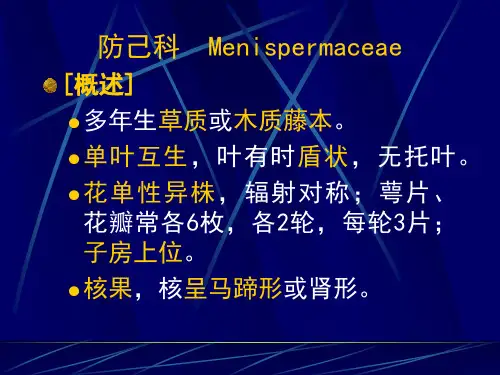 防己