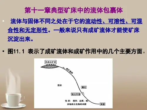 第十一章典型矿床中的流体包裹体