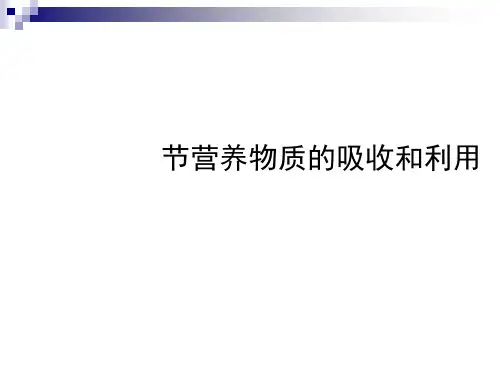 营养物质的吸收和利用PPT课件1 冀教版